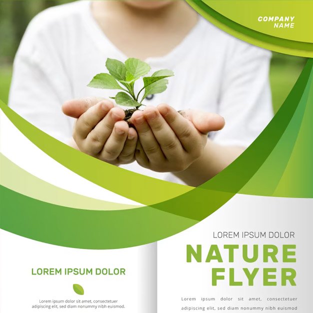 premium brochure design services