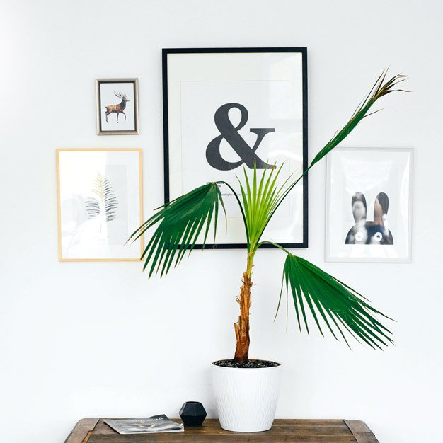 Love PPC Experts Website designing company in Chandigarh